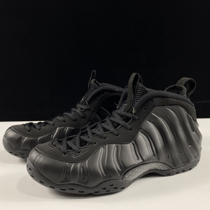 Nike Air Foamposite One Anthracite 314996-001