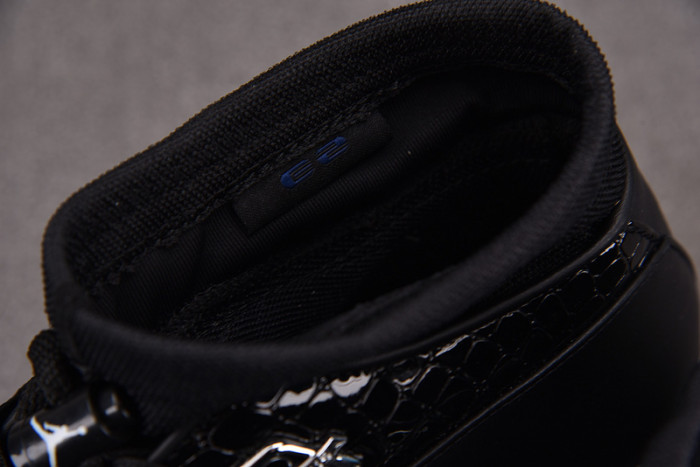 Air Jordan 17 OG 303891-004