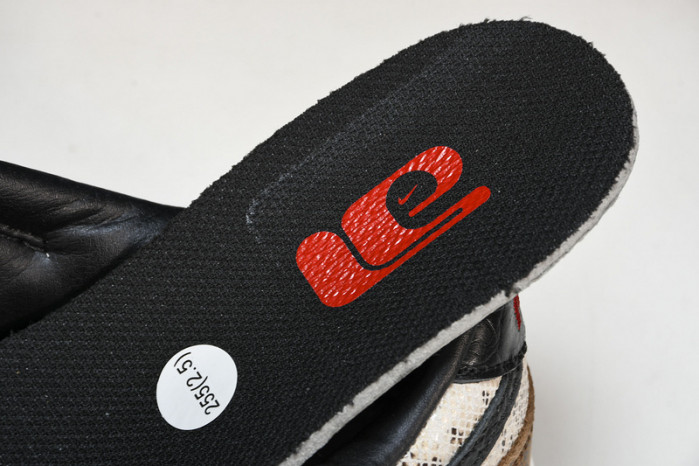 Nike Dunk Low Premium ATMOS  FJ5434-120