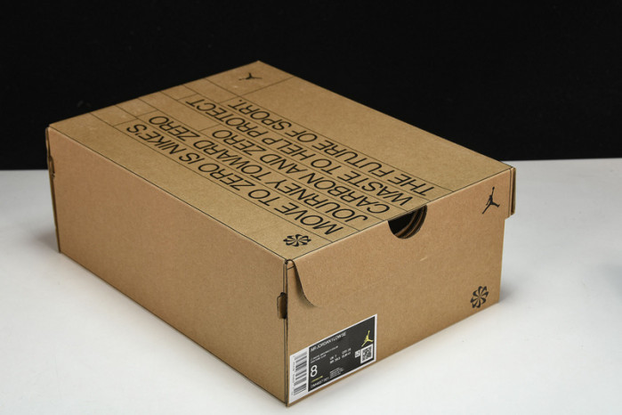 Air Jordan 1 Low SE“Crater” DM4657-001