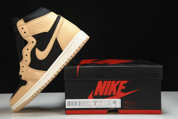 Air Jordan 1 Retro High OG 555088-202