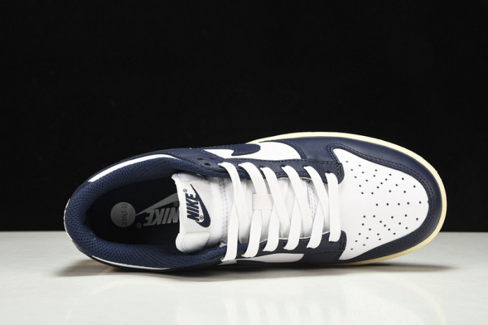 Nike Dunk Low DD1503-115